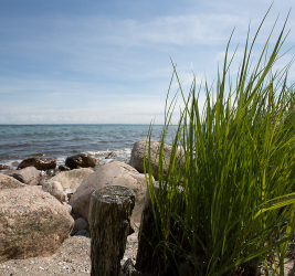 Ostsee – Grömitz und Umgebung